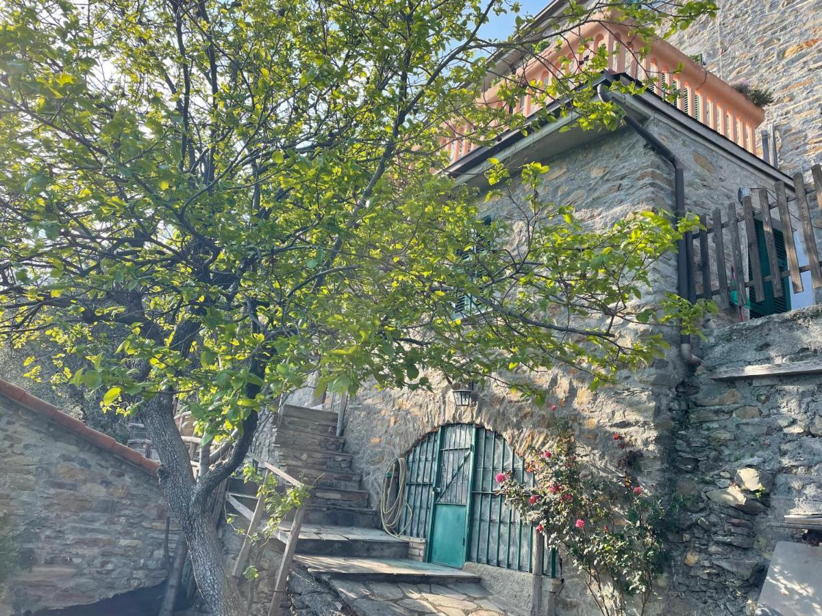Apartmán Casa Di Nonno Meme Citra 008035-Lt-0018 Andagna Exteriér fotografie