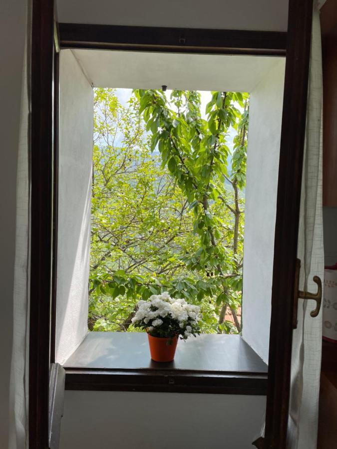 Apartmán Casa Di Nonno Meme Citra 008035-Lt-0018 Andagna Exteriér fotografie